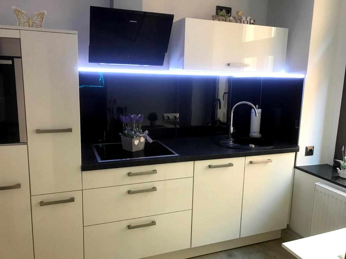 Salzhausblick Business Apartments - Zentrale Lage Am Salzhaus - Mwst-Rechnung Verfuegbar Zittau Bilik gambar