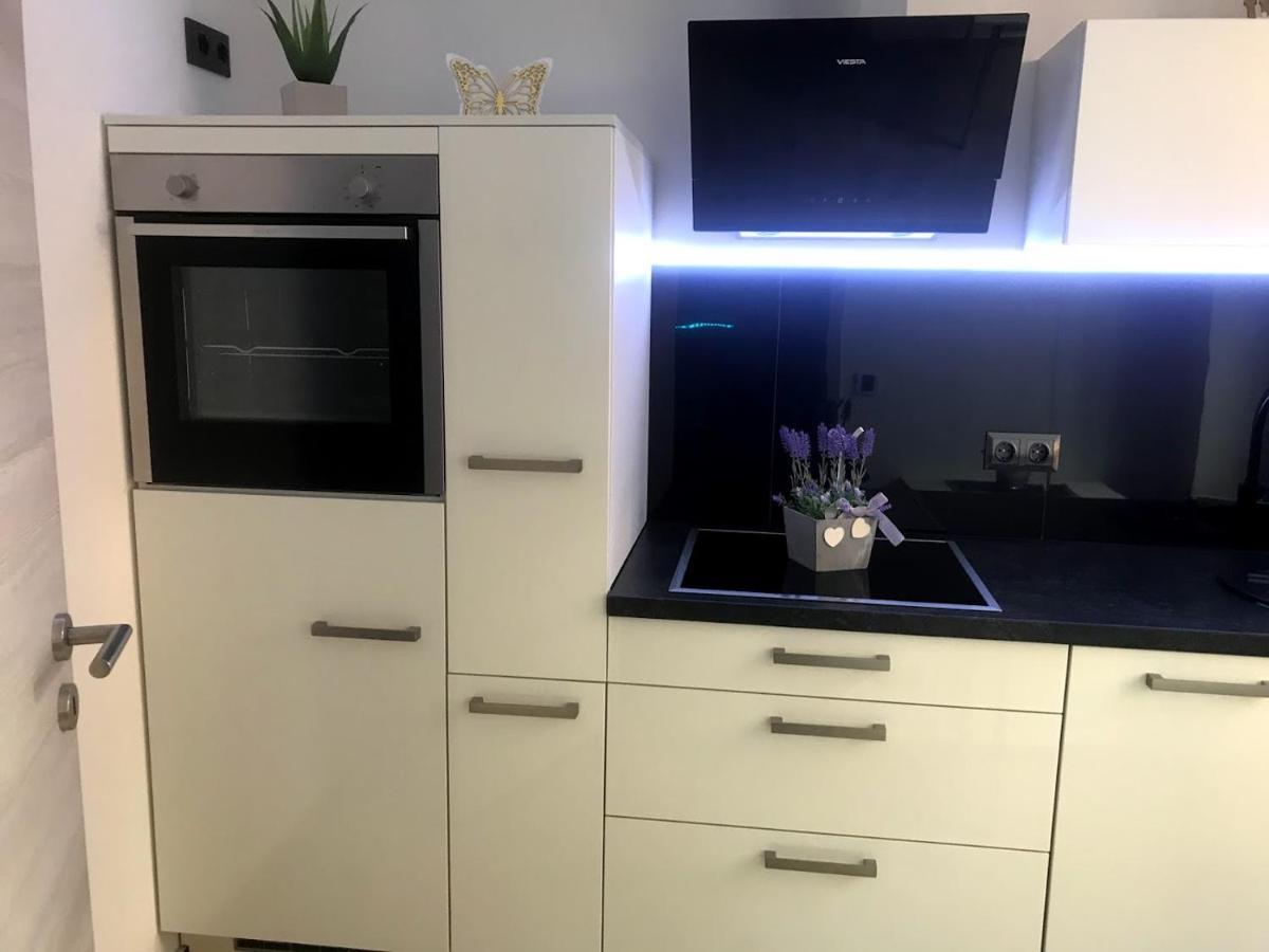 Salzhausblick Business Apartments - Zentrale Lage Am Salzhaus - Mwst-Rechnung Verfuegbar Zittau Bilik gambar